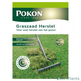 POKON GRASZAAD HERSTEL SOS 250 GRAM