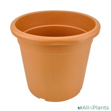 npb-perseo-terracotta-25-liter-ronde-plantenpot-1000px