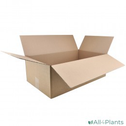 STEKDOZEN 56 x 33 x 19 CM PER 30 STUKS