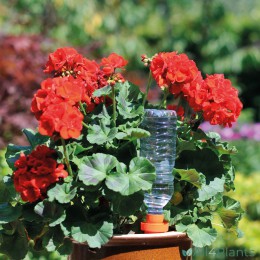 5010646057417 HOZELOCK AQUASOLO SMALL ORANJE VOOR BUITENPLANTEN IN POTTEN TOT Ø25CM