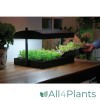 GARLAND GROW LIGHT GARDEN VOORBEELD