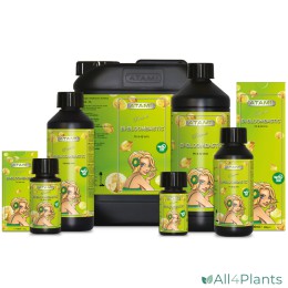 PRODUCTENLIJN ATA NRG BI-BLOOMBASTIC 1 LITER