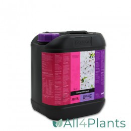 B'CUZZ BLOOM STIMULATOR 5 LITER