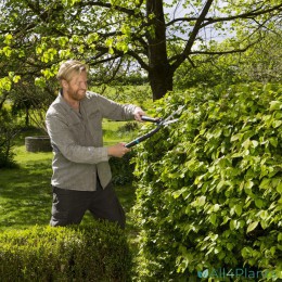 4078500049139 GARDENA HEGGENSCHAAR 2-IN-1 ENERGYCUT 23 CM HAAG GROTE HAAG SNOEIEN