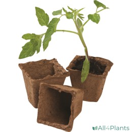 5031670502889 GARLAND VEZEL POT VIERKANT 6 X 6 X 6 CM VERPAKT PER 20 TURFPOT